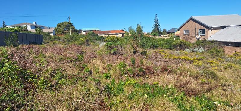 0 Bedroom Property for Sale in Dana Bay Western Cape